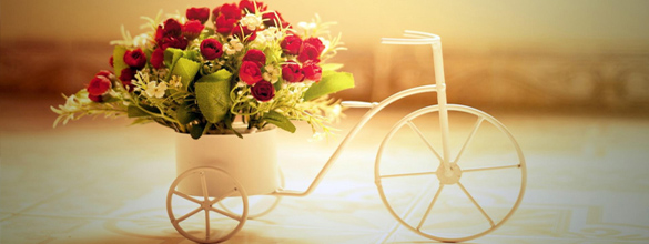 Finished Product & Services